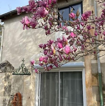 7 Rayons Villa Avignon Exteriör bild