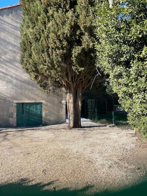 7 Rayons Villa Avignon Exteriör bild